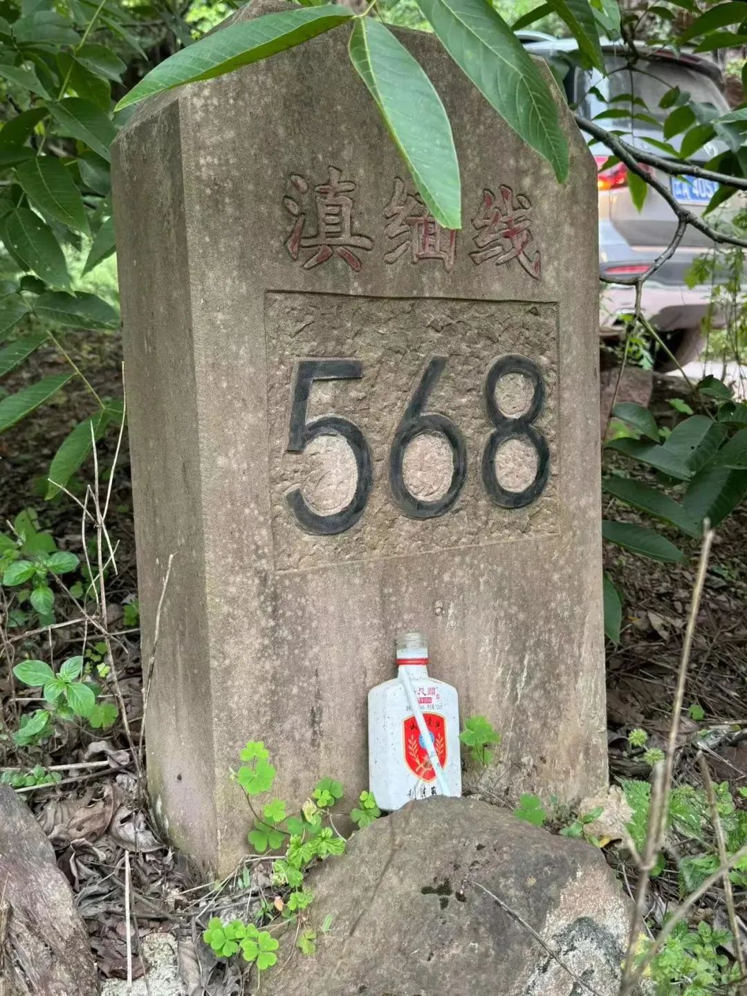 56F33