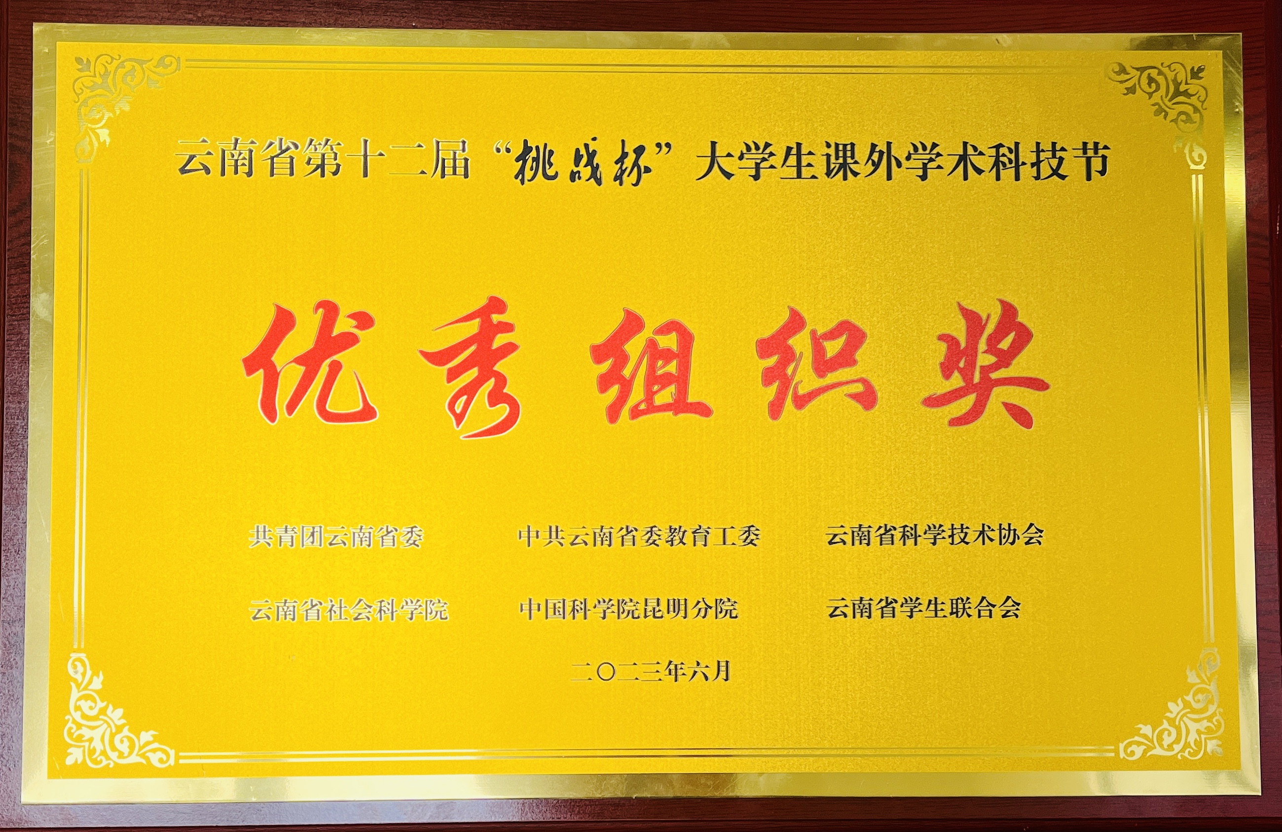 1优秀组织奖.jpg